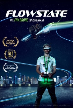 Image Flowstate: The FPV Drone Documentary