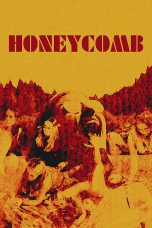 Image Honeycomb