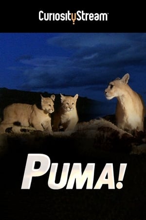 Image Puma!