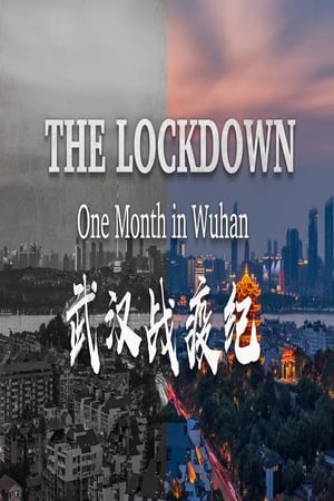 Image The Lockdown: One Month in Wuhan