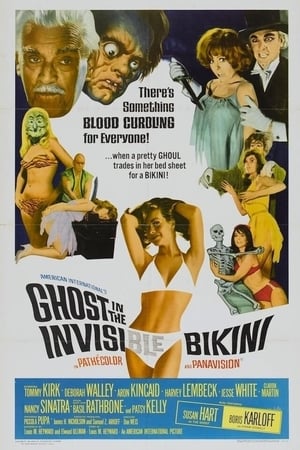 Image The Ghost in the Invisible Bikini
