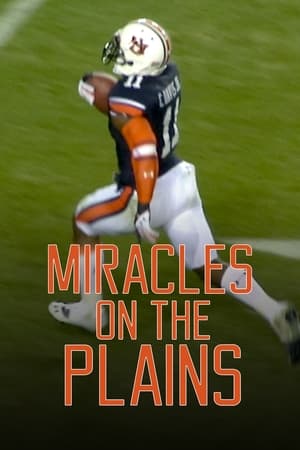 Image Miracles on the Plains