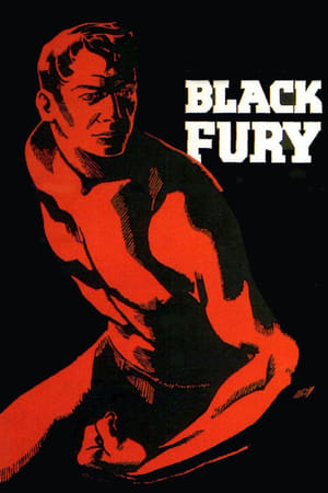 Image Black Fury