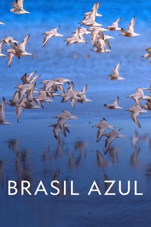 Image Brasil Azul
