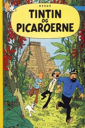 Image Tintins oplevelser - Tintin og Picaroerne