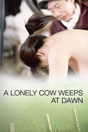 Image A Lonely Cow Weeps at Dawn