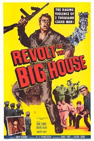Image Revolt in the Big House