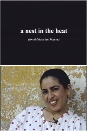 Image Boujad: A Nest in the Heat