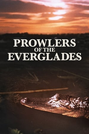 Image Prowlers of the Everglades