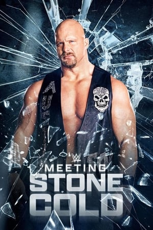 Image Meeting Stone Cold
