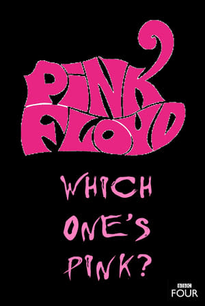 Image The Pink Floyd Story: Which One's Pink?