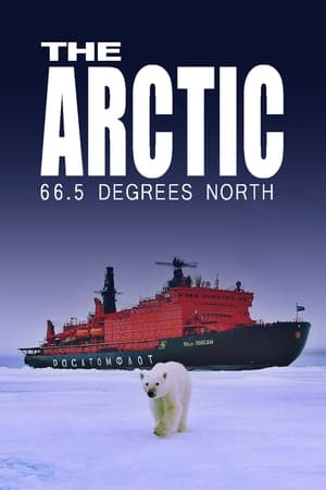 Image The Arctic: 66.5 Degrees North