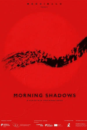 Image Morning Shadows