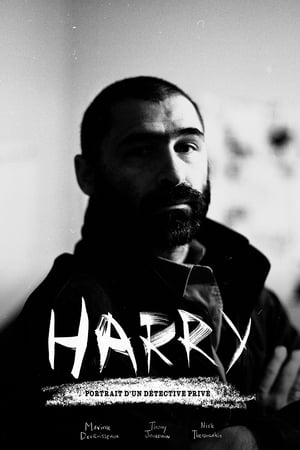 Image Harry : Portrait d’un détective privé