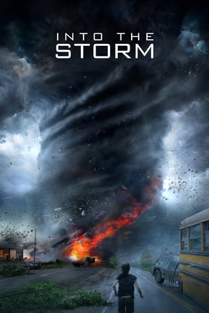 Image În mijlocul furtunii