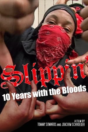 Image Slippin': Ten Years with the Bloods