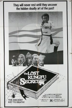 Image The Lost Kung Fu Secrets