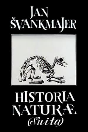 Image Historia Naturae (suita)