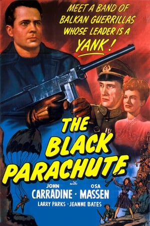 Image The Black Parachute