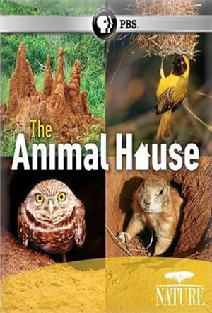 Image The Animal House
