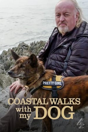 Image Coastal Walks with My Dog