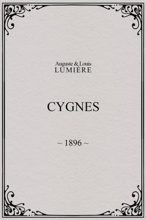 Image Cygnes