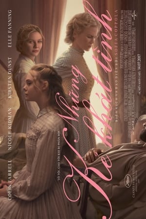 Image The Beguiled