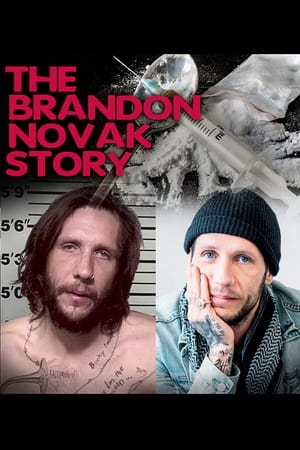 Image The Brandon Novak Story
