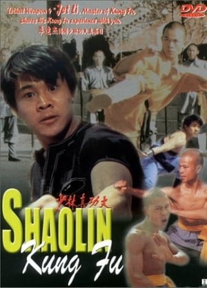 Image Li Lian Jie's Shaolin Kung Fu