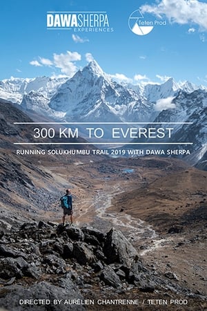 Image 300 KM TO EVEREST