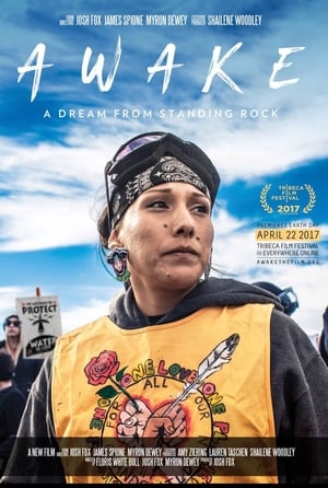 Image Awake, a Dream from Standing Rock