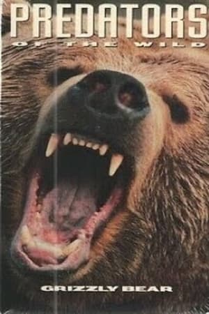Image Predators of the Wild: Grizzly Bear