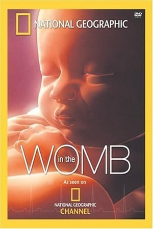 Image In The Womb