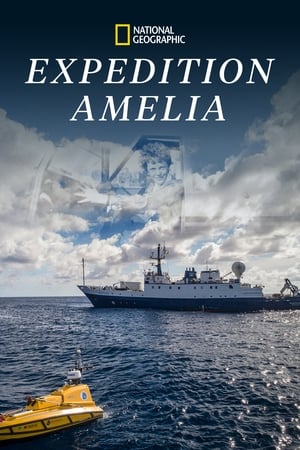 Image Експедиція «Амелія»