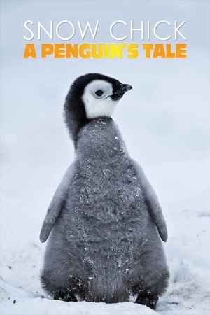 Image Snow Chick - A Penguin's Tale