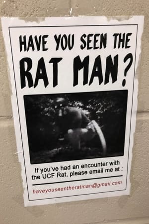 Image Have You Seen The Ratman?
