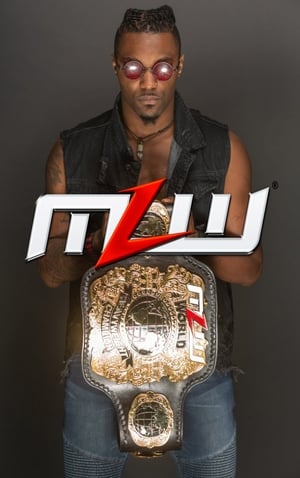 Image MLW Fusion