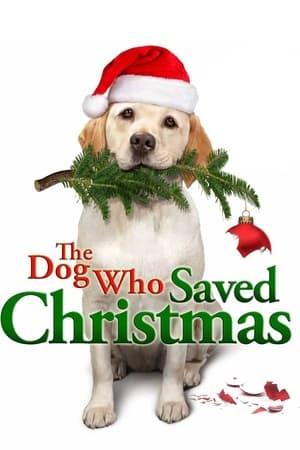 Image Pes, který zachránil Vánoce