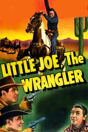 Image Little Joe, the Wrangler