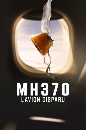 Image MH370 : L'avion disparu