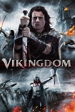 Image Vikingdom