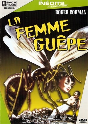 Image La Femme guêpe