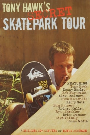 Image Tony Hawk's Secret Skatepark Tour