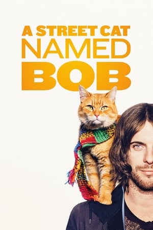 Image A Street Cat Named Bob