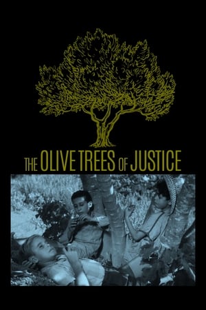 Image The Olive Trees of Justice