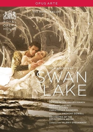 Image Swan Lake