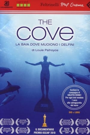 Image The Cove - La baia dove muoiono i delfini