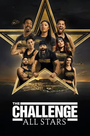 Image The Challenge: All Stars