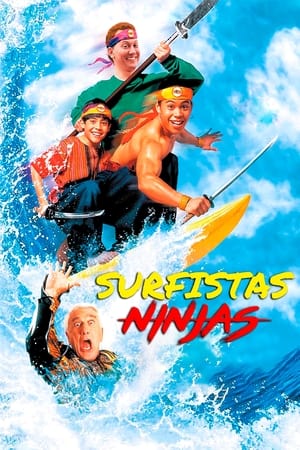Image Surf Ninjas