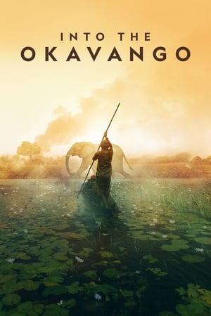 Image Into the Okavango